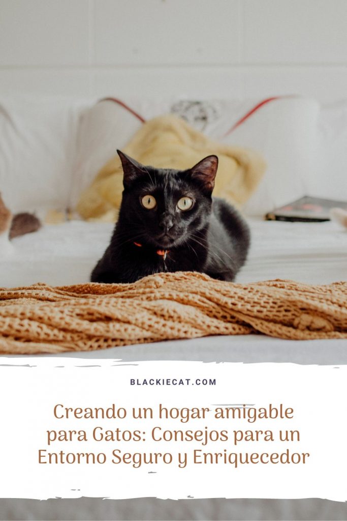 Creando un hogar amigable para gatos: Consejos para un entorno seguro y enriquecedor | blackiecat.com